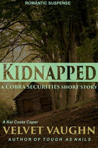 Small book cover for Kidnapped, a COBRA Securities Series short story.