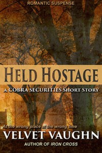 Book cover for Held Hostage, a COBRA Securities Series short story.