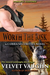 Book cover for Worth the Risk, the 21st book in the COBRA Securities Series.